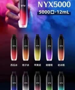 維特威 VTV 5000口 超耐抽一次性電子菸/拋棄式 可充電🍬台灣現貨