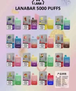 LANA5000口-拉娜拋棄式電子菸-一次性電子煙-官方正品-台灣現貨
